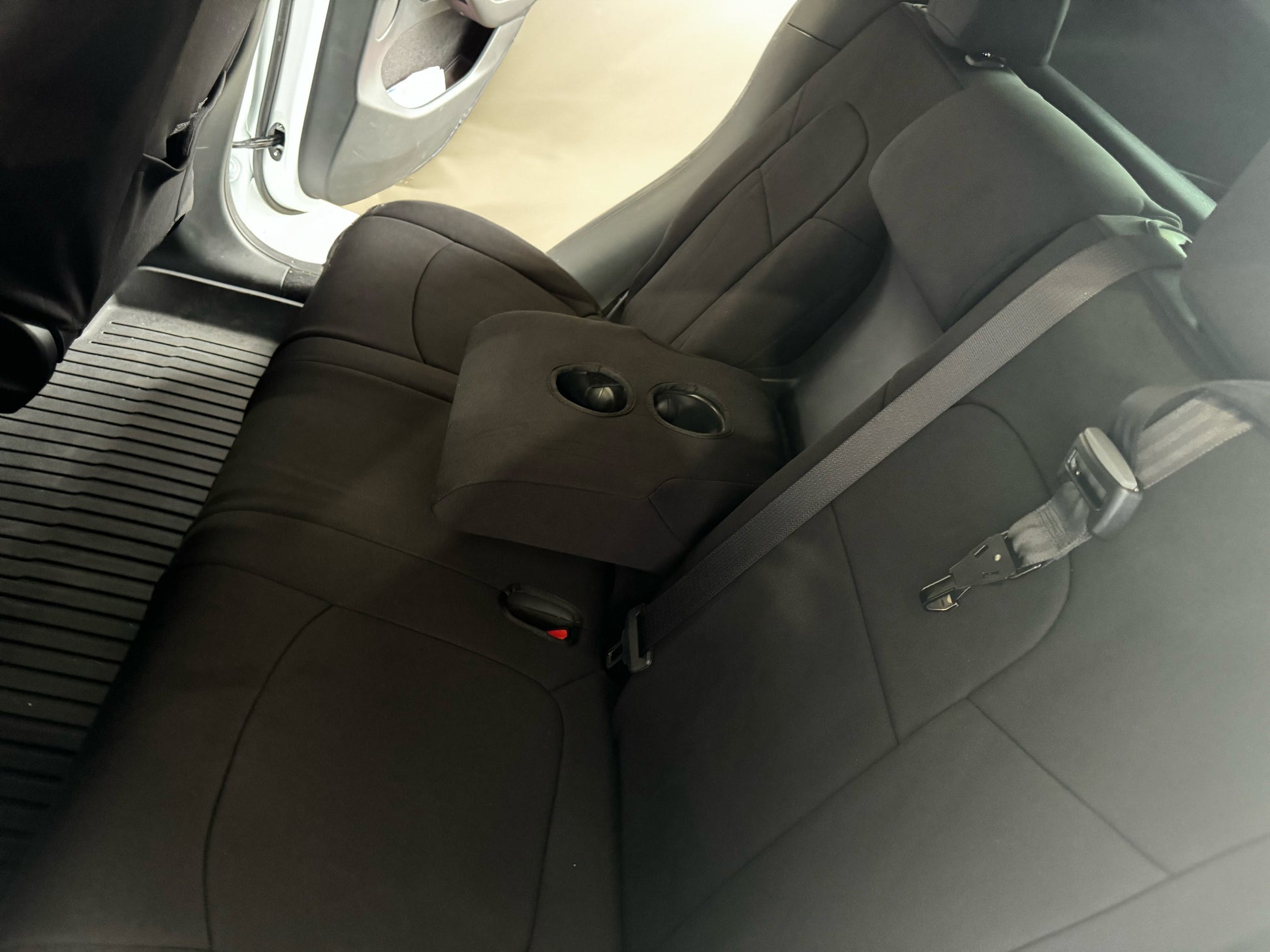 Sharkskin for Tesla Model Y (Feb/2022-ON) – additional photo